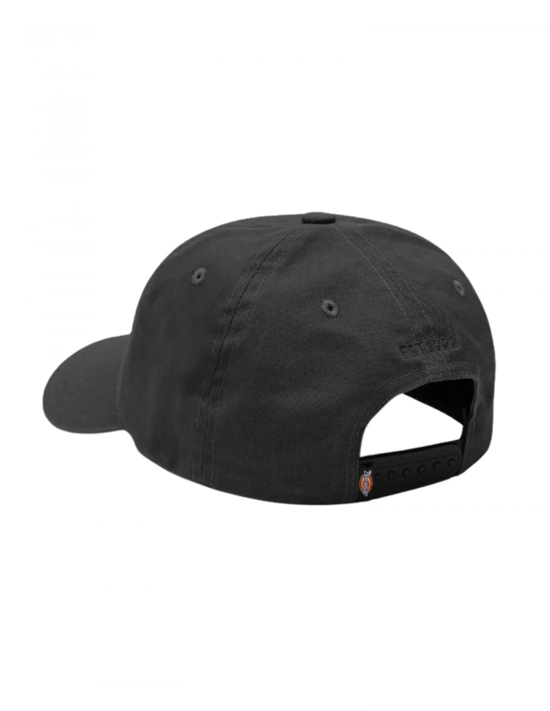 DICKIES Hardwick - Negro - Gorra